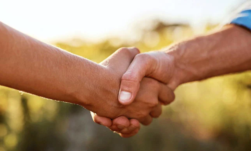 What your handshake says about your heart health, life expectancy
