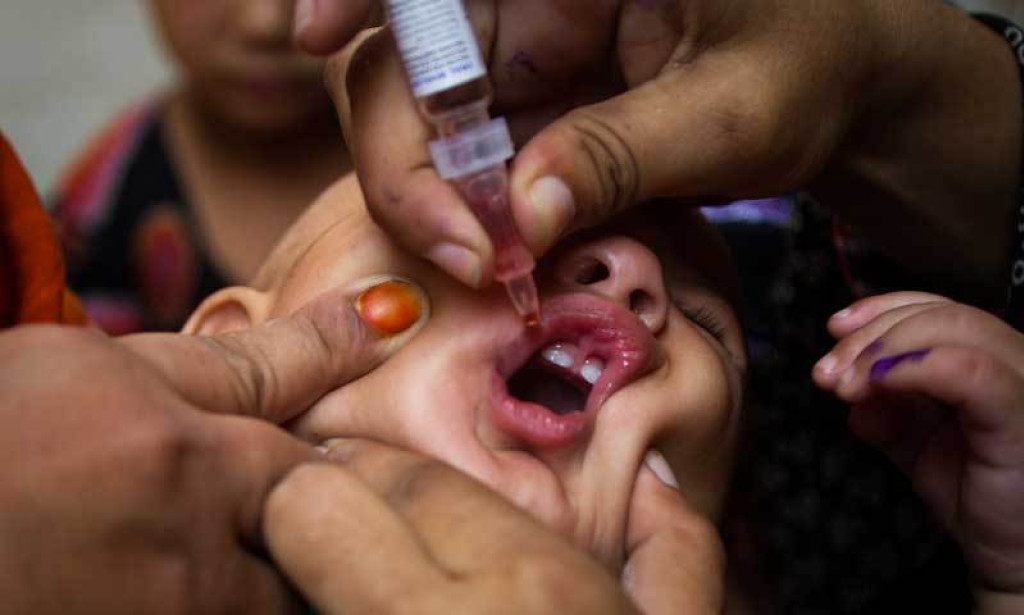 Mass polio vaccination campaign launched in Gaza amid humanitarian pause